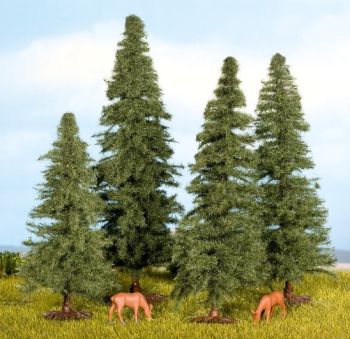 NOC25432 - 4 Fir trees 4 to 8 cm