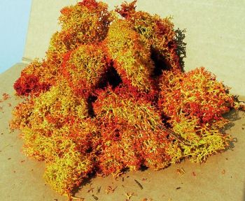 HEK3216 - Shaded red lichen 30 g