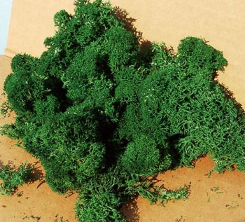 HEK3220 - Dark green lichen 75 g