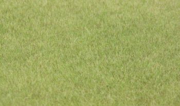 HEK33541 - Grass flocking 75 g. 5-6mm