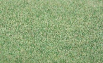 HEK33542 - Dark green grass flocking 75 g. 5-6mm