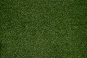 NOC00230 - Carpet grass mat dark green