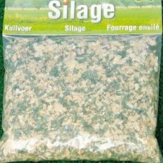 KID610760 - 100g bag of silage grass