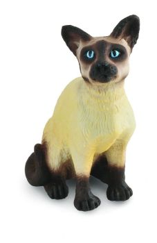 COLL88331 - Cat Siamese Sitting