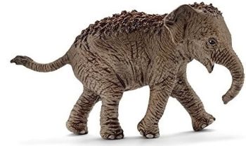 SHL14755 - Asian Baby Elephant