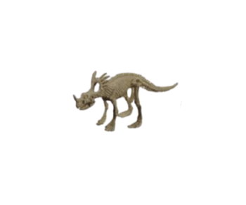 GEOCL3201A - Dinosaur Skeleton - Styracosaurus