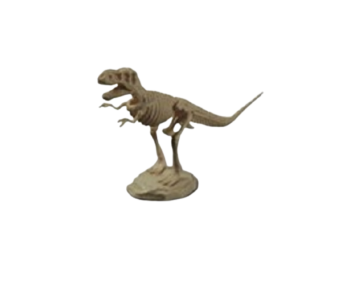 GEOCL3201B - Dinosaur Skeleton - Tyrannosaurus Rex