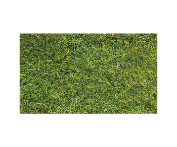 HEK3369 - Bag 75 g of dark green wild grass 5-6 mm