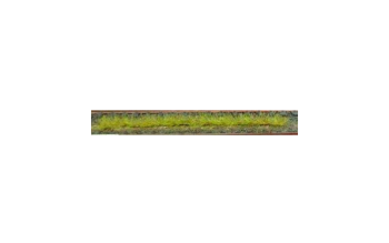 HEK1810 - Pack of 10 spring grass strips 10 cm
