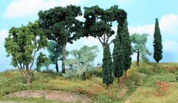 HEK1774 - 11 Mediterranean trees 8-17 cm