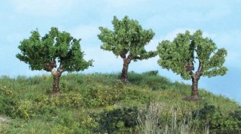 HEK1911 - 3 Weeping willow 5.5 cm