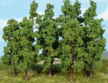 HEK1925 - 10 Beech trees 11-13 cm