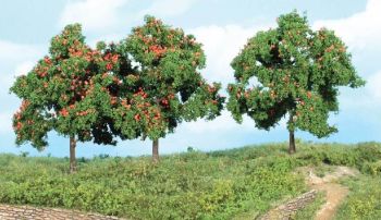 HEK1929 - 3 Apple trees 13 cm