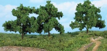 HEK1934 - 3 Fruit trees 13 cm