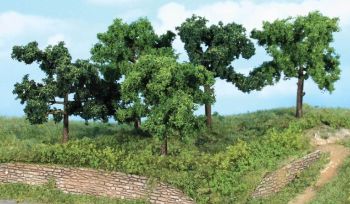 HEK1935 - 5 Fruit trees 8-10 cm