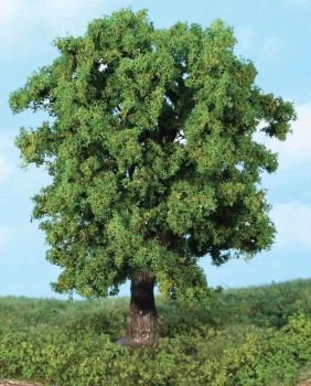 HEK1944 - 1 horse chestnut 18 cm