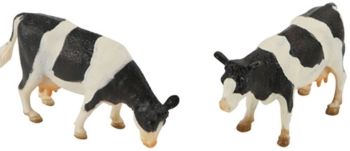 KID571873 - 2 HOLSTEIN Cows Standing