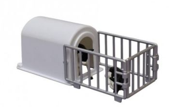 KID571964 - Lot of 2 black and white calves with niche
