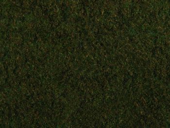 NOC07281 - Foliage of wild grass, dark green 20 x 23 cm