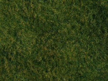 NOC07280 - Wild grass foliage, light green 20 x 23 cm