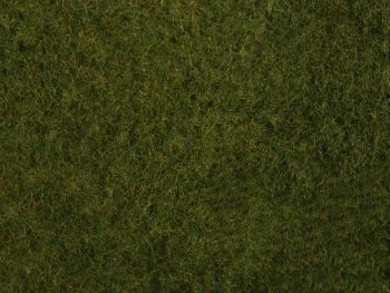 NOC07282 - Foliage of wild grass, dark green 20 x 23 cm