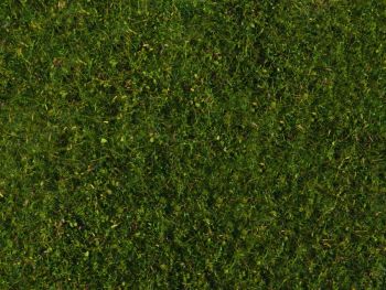NOC07291 - Meadow foliage, medium green 20 x 23 cm
