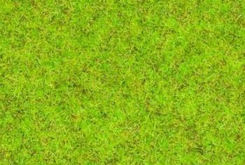 NOC08300 - Medium green grass - 2.5 mm - 20 g