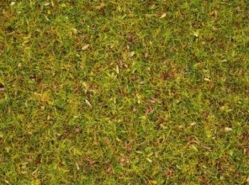 NOC08330 - Grass with flowers - 2.5 mm - 20 g