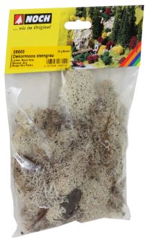 NOC08600 - Lichen stone gray