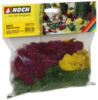 NOC08620 - Lichen set autumn mix