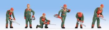 NOC15061 - foresters