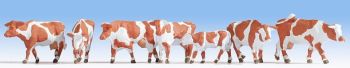 NOC15726 - Montbéliarde cow