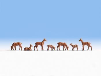 NOC15740 - Roe deers
