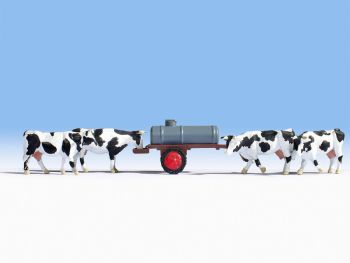 NOC16658 - 4 cows with water trailer