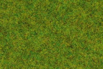 NOC50210 - Grass, medium green - 100 g - 2.5 mm