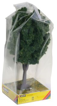 NOC68020 - Fruit tree green