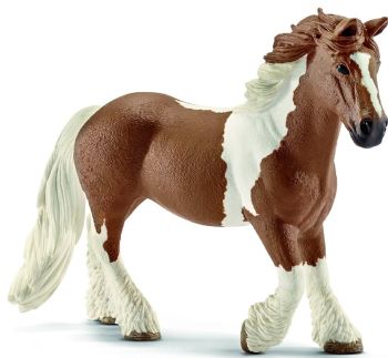 SHL13773 - Tinker mare