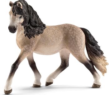 SHL13793 - Andalusian mare
