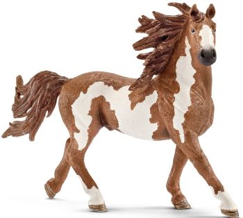 SHL13794 - Pinto stallion