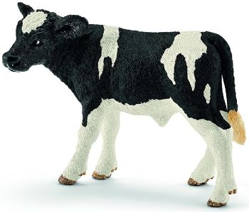 SHL13798 - Holstein calf