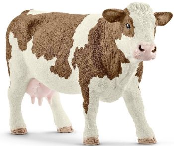 SHL13801 - French Simmental cow