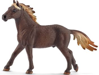 SHL13805 - Mustang stallion