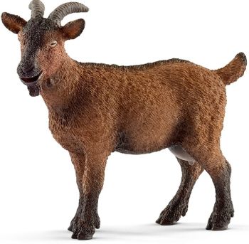 SHL13828 - Goat
