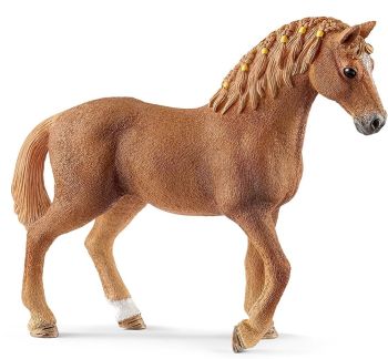 SHL13852 - Quarter Horse Mare