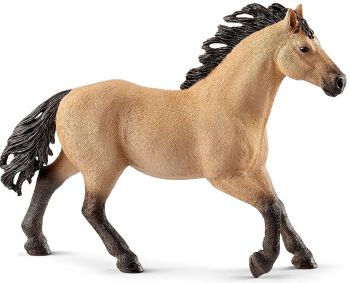 SHL13853 - Quarter Horse Stallion