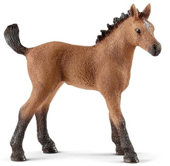 SHL13854 - Quarter Horse Foal - Available January 2018