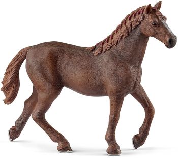 SHL13855 - English Thoroughbred Mare
