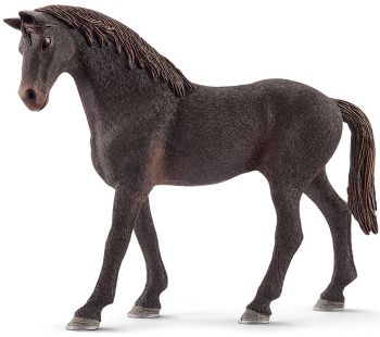 SHL13856 - English thoroughbred stallion