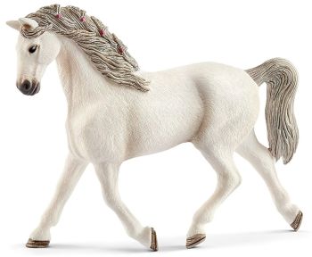 SHL13858 - Holstein Mare