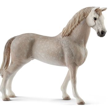SHL13859 - Holstein Gelding